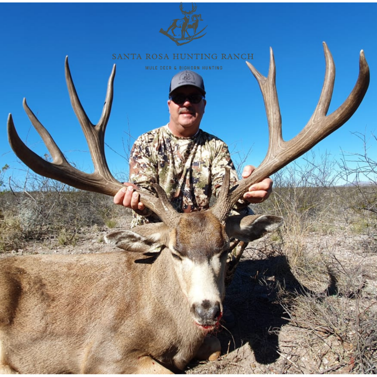 Santa Rosa Hunting Ranch | Mule Deer & Desert Bighorn